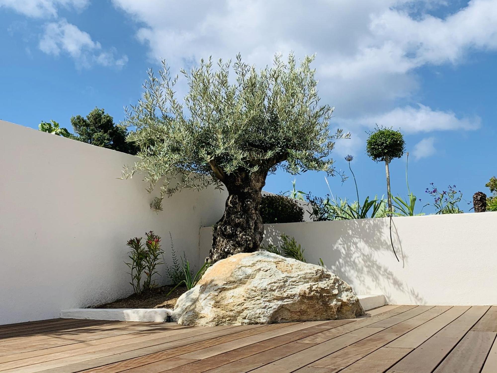 Residence Villa Branda Calvi  Exteriér fotografie